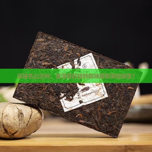 探秘名山古树，普洱茶的独特韵味藏着哪些秘密？