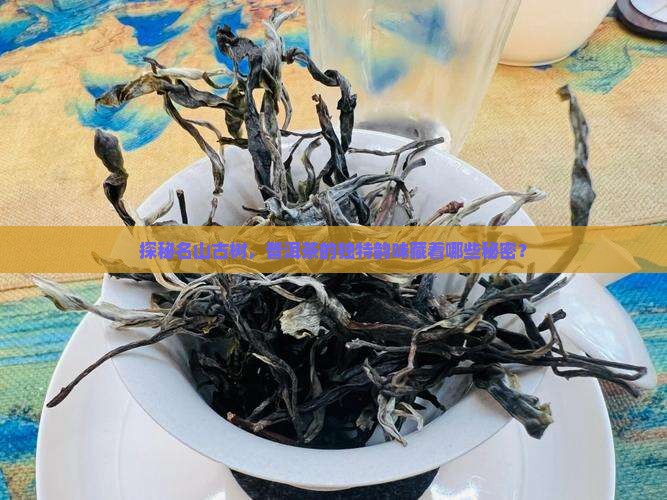探秘名山古树，普洱茶的独特韵味藏着哪些秘密？