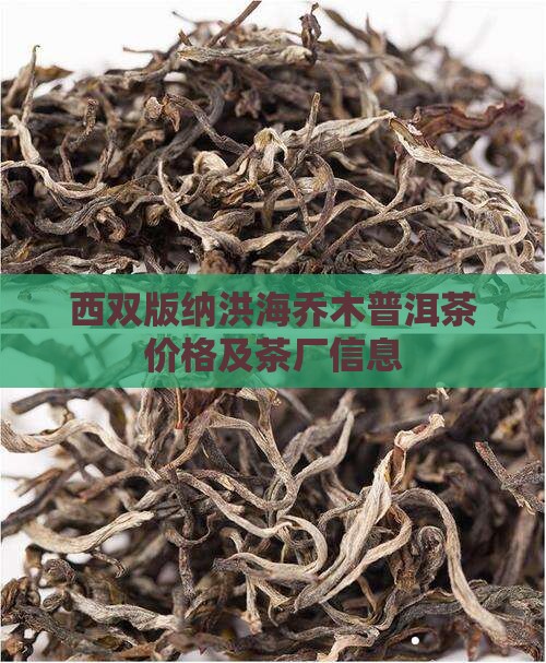 西双版纳洪海乔木普洱茶价格及茶厂信息