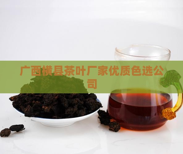 广西横县茶叶厂家优质色选公司