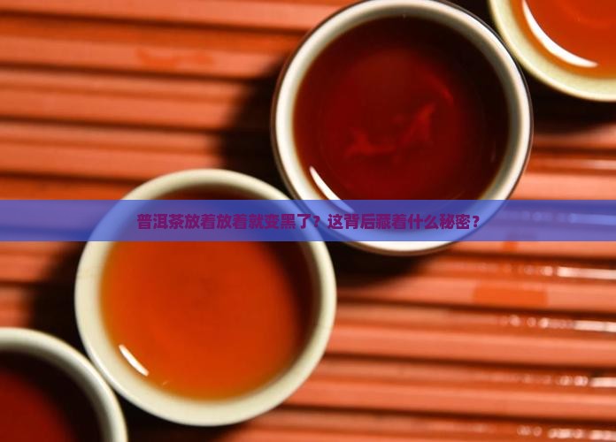 普洱茶放着放着就变黑了？这背后藏着什么秘密？