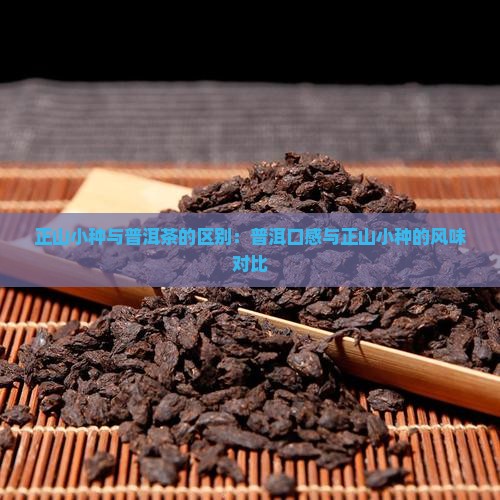 正山小种与普洱茶的区别：普洱口感与正山小种的风味对比
