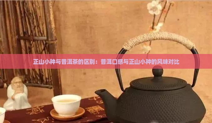 正山小种与普洱茶的区别：普洱口感与正山小种的风味对比