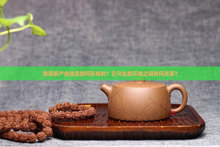 普洱茶产业链是如何形成的？它与生态环境之间有何关系？