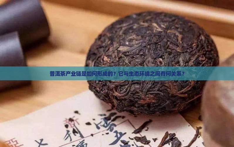 普洱茶产业链是如何形成的？它与生态环境之间有何关系？