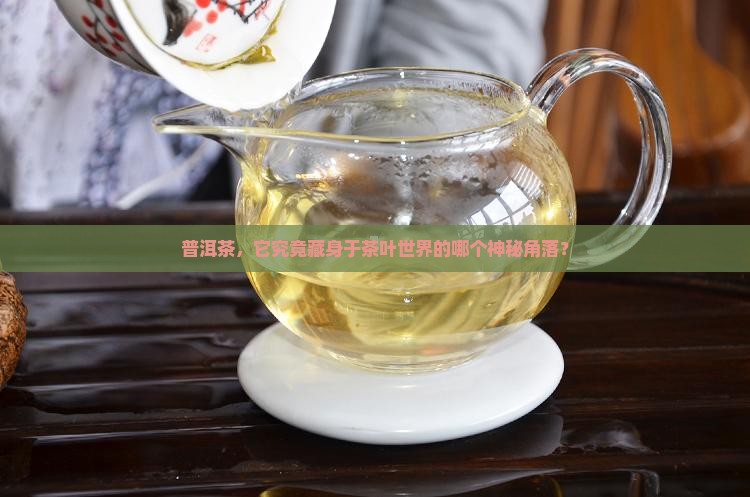 普洱茶，它究竟藏身于茶叶世界的哪个神秘角落？