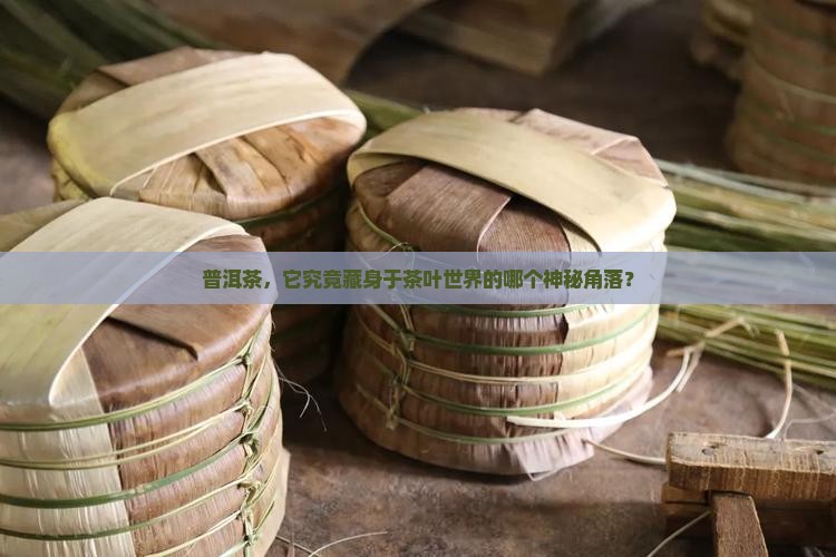 普洱茶，它究竟藏身于茶叶世界的哪个神秘角落？