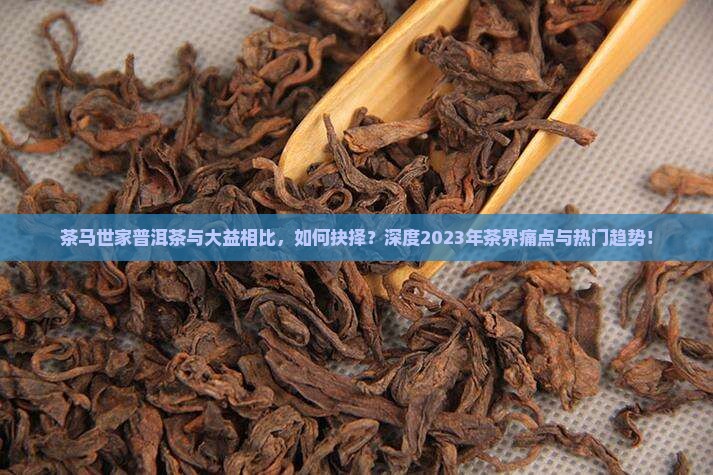 茶马世家普洱茶与大益相比，如何抉择？深度2023年茶界痛点与热门趋势！