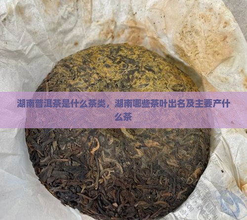 湖南普洱茶是什么茶类，湖南哪些茶叶出名及主要产什么茶