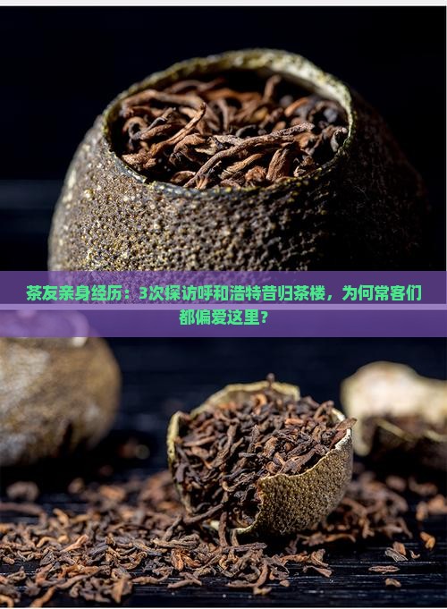 茶友亲身经历：3次探访呼和浩特昔归茶楼，为何常客们都偏爱这里？