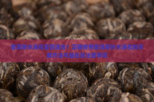 普洱茶水浇花是否适合？正确使用普洱茶叶水浇花的详解方法与益处及注意事项