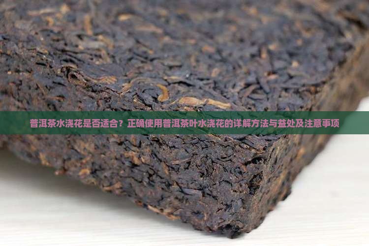 普洱茶水浇花是否适合？正确使用普洱茶叶水浇花的详解方法与益处及注意事项