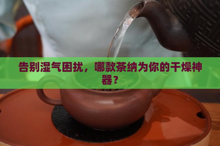 告别湿气困扰，哪款茶纳为你的干燥神器？