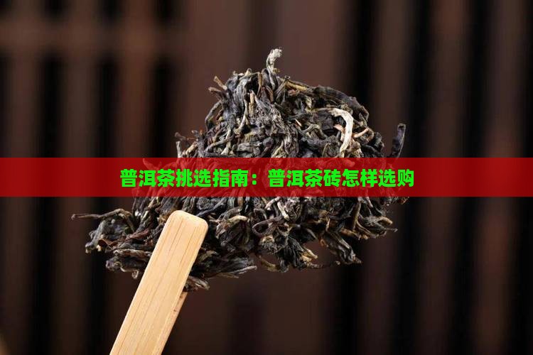 普洱茶挑选指南：普洱茶砖怎样选购