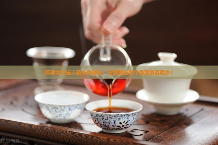 探寻北方佳人茶叶的秘密：它藏匿在哪个角落的温柔乡？