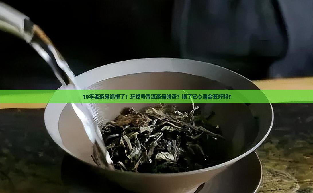 10年老茶鬼都懵了！轩辕号普洱茶是啥茶？喝了它心情会变好吗？