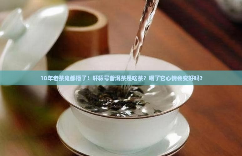 10年老茶鬼都懵了！轩辕号普洱茶是啥茶？喝了它心情会变好吗？