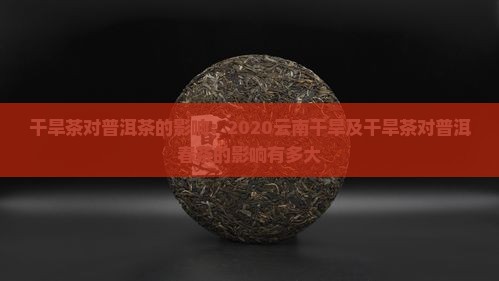 干旱茶对普洱茶的影响：2020云南干旱及干旱茶对普洱春茶的影响有多大
