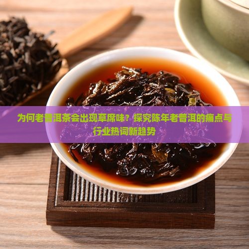为何老普洱茶会出现草席味？探究陈年老普洱的痛点与行业热词新趋势