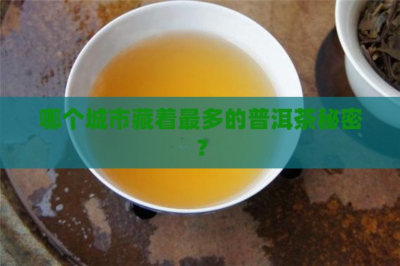 哪个城市藏着最多的普洱茶秘密？