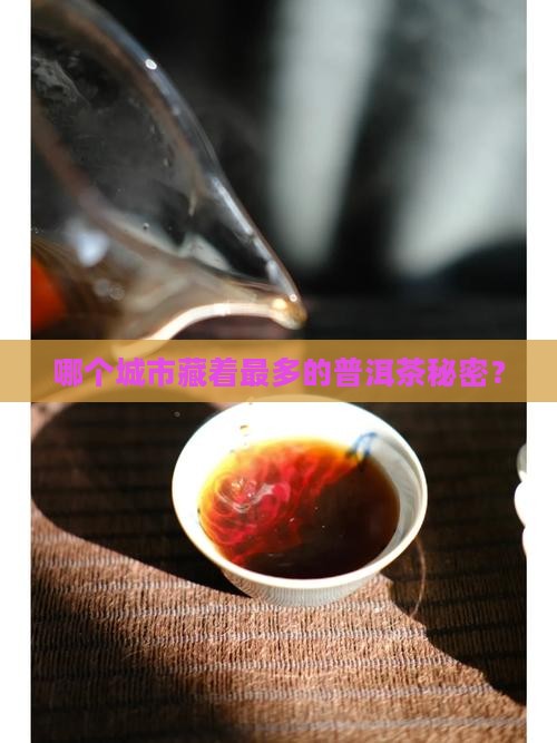 哪个城市藏着最多的普洱茶秘密？