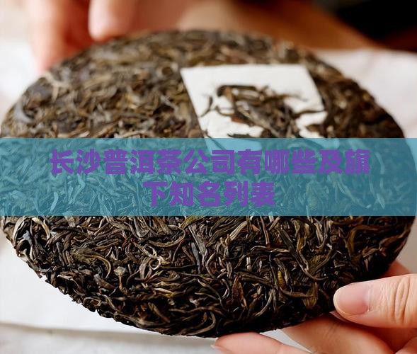 长沙普洱茶公司有哪些及旗下知名列表
