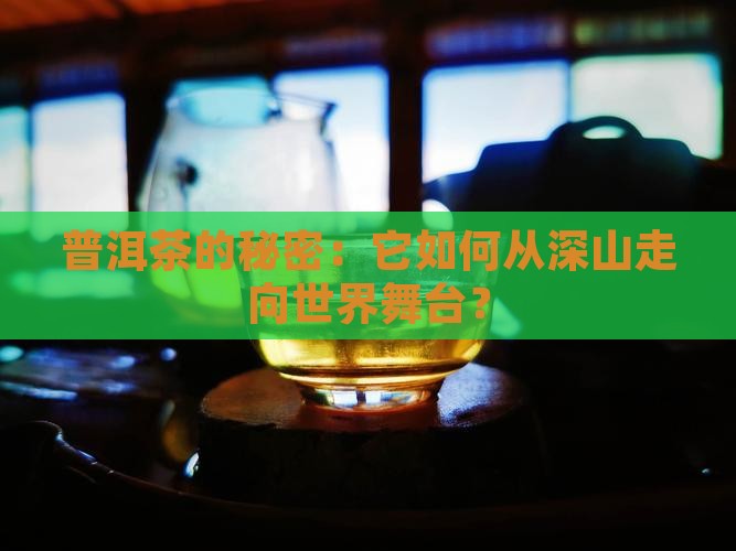 普洱茶的秘密：它如何从深山走向世界舞台？