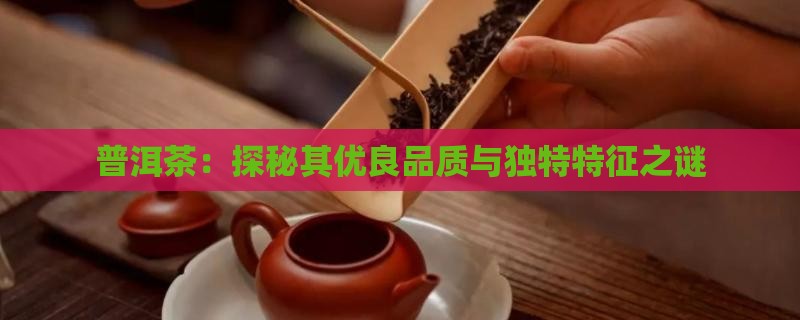 普洱茶：探秘其优良品质与独特特征之谜