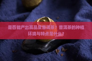 是否能产出高品质普洱茶？普洱茶的种植环境与特点是什么？