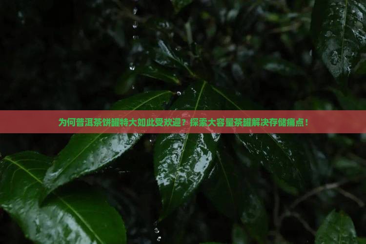 为何普洱茶饼罐特大如此受欢迎？探索大容量茶罐解决存储痛点！