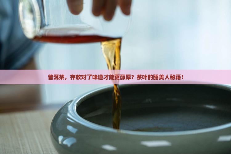 普洱茶，存放对了味道才能更醇厚？茶叶的睡美人秘籍！