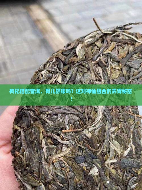 枸杞搭配普洱，胃儿舒服吗？这对神仙组合的养胃秘密！