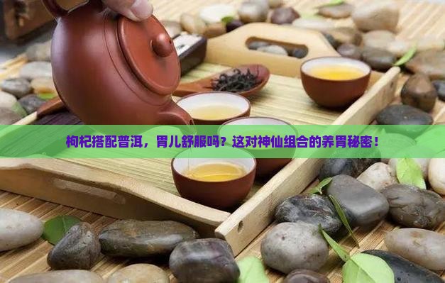 枸杞搭配普洱，胃儿舒服吗？这对神仙组合的养胃秘密！
