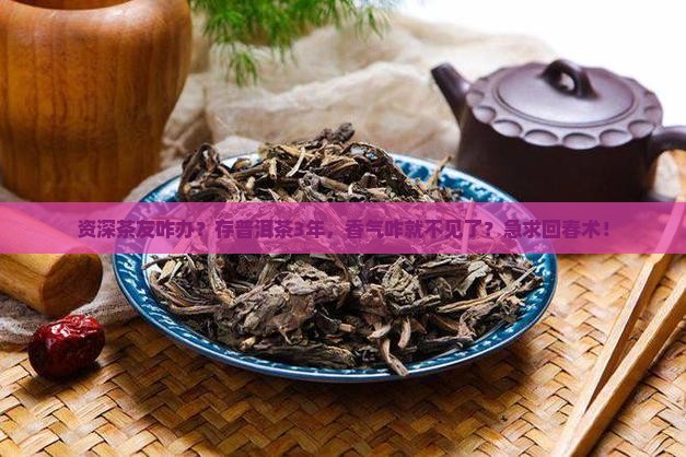 资深茶友咋办？存普洱茶3年，香气咋就不见了？急求回春术！