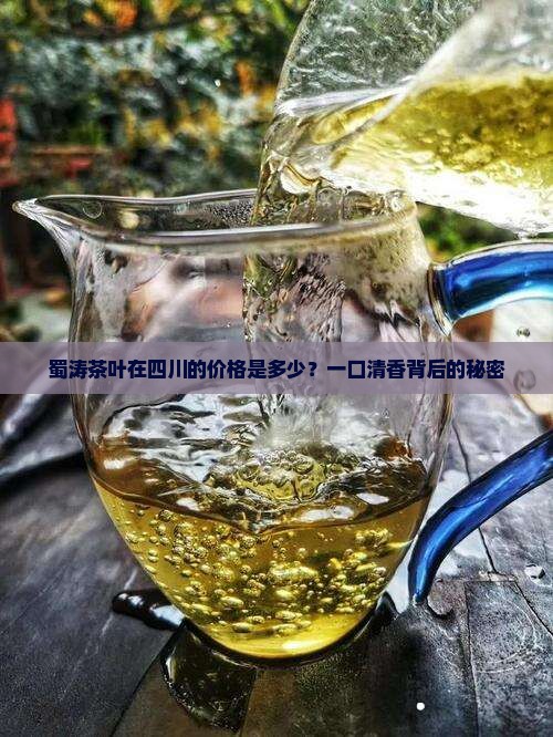 蜀涛茶叶在四川的价格是多少？一口清香背后的秘密