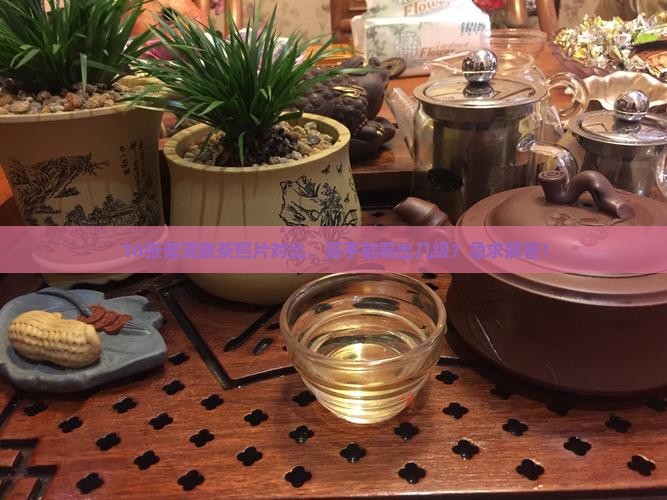 10张普洱散茶照片对比，高手能看出几级？急求解答！