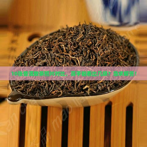 10张普洱散茶照片对比，高手能看出几级？急求解答！