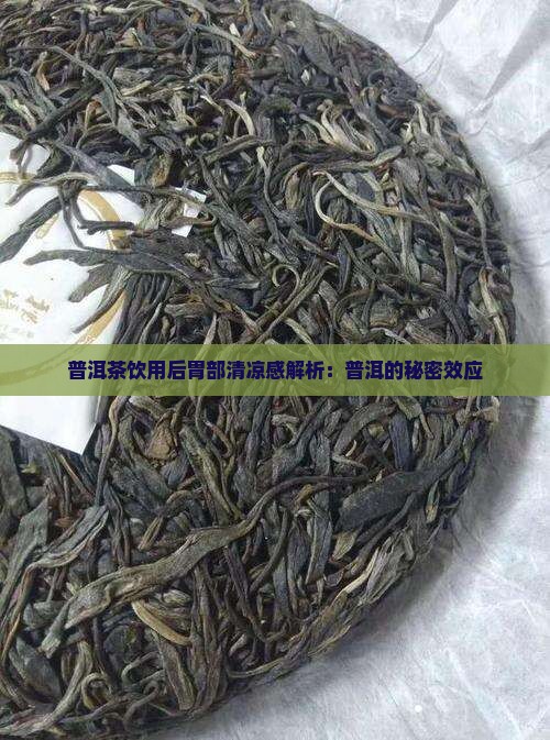普洱茶饮用后胃部清凉感解析：普洱的秘密效应