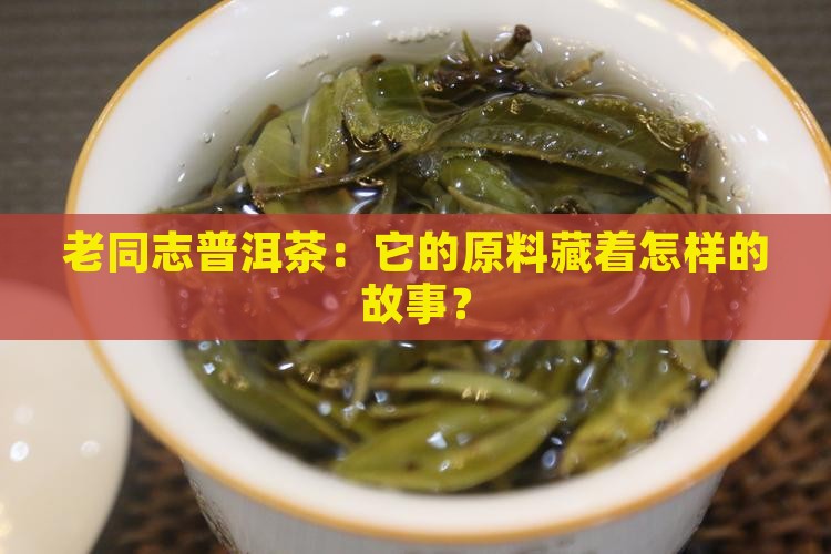 老同志普洱茶：它的原料藏着怎样的故事？