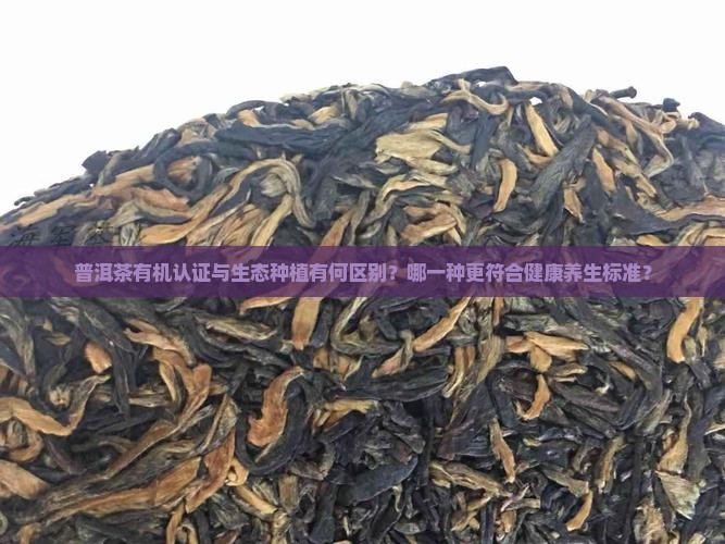普洱茶有机认证与生态种植有何区别？哪一种更符合健康养生标准？