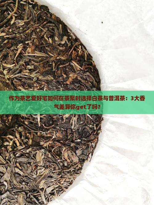 作为茶艺爱好宅如何在茶聚时选择白茶与普洱茶：3大香气差异你get了吗？
