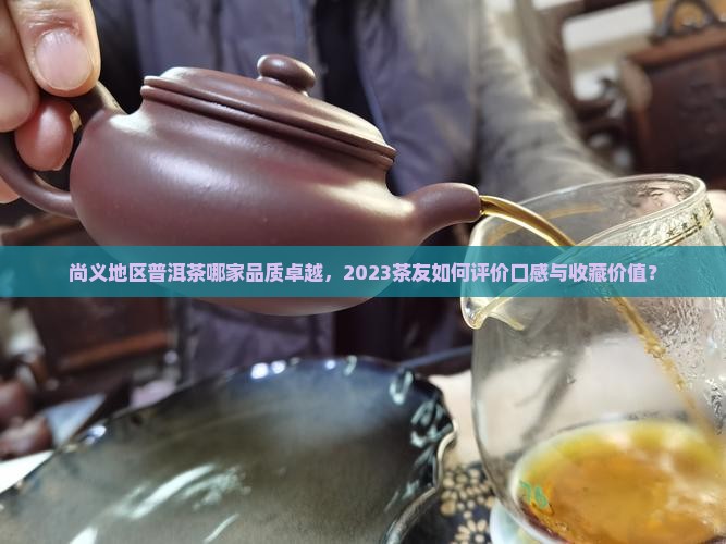 尚义地区普洱茶哪家品质卓越，2023茶友如何评价口感与收藏价值？