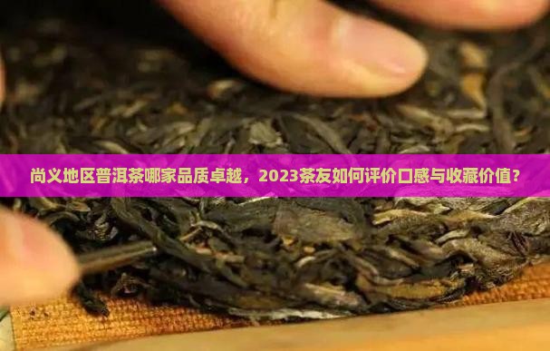 尚义地区普洱茶哪家品质卓越，2023茶友如何评价口感与收藏价值？