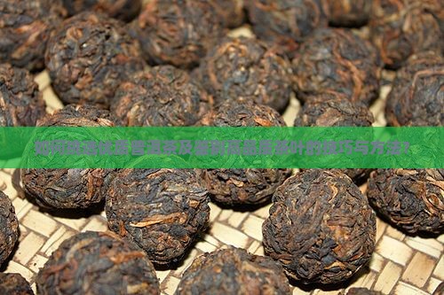 如何挑选优质普洱茶及鉴别高品质茶叶的技巧与方法？