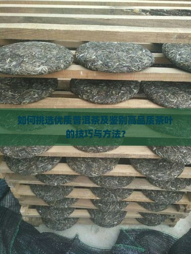 如何挑选优质普洱茶及鉴别高品质茶叶的技巧与方法？