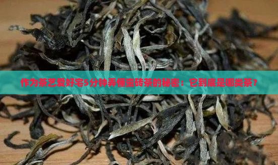 作为茶艺爱好宅5分钟弄懂蛮砖茶的秘密：它到底是哪类茶？