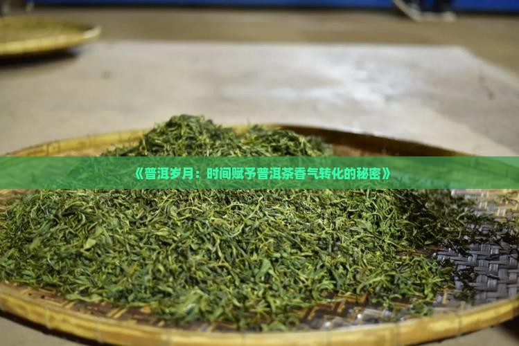 《普洱岁月：时间赋予普洱茶香气转化的秘密》