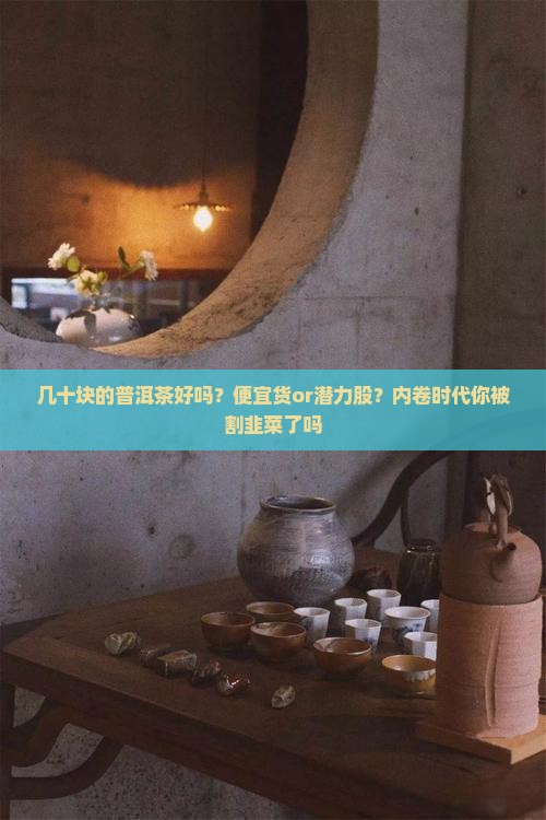 几十块的普洱茶好吗？便宜货or潜力股？内卷时代你被割韭菜了吗