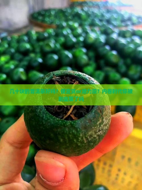 几十块的普洱茶好吗？便宜货or潜力股？内卷时代你被割韭菜了吗