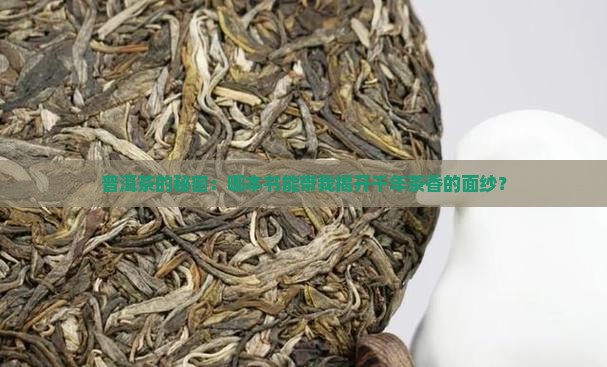 普洱茶的秘密：哪本书能带我揭开千年茶香的面纱？